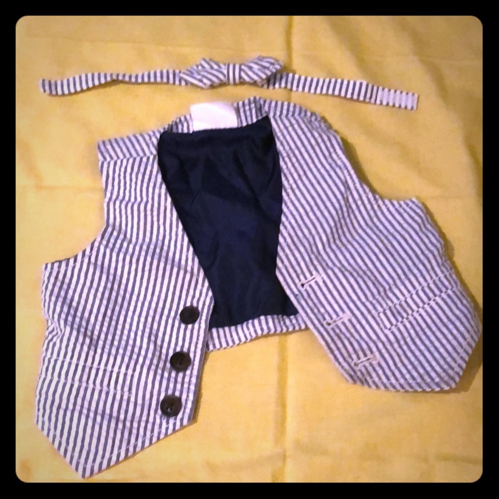 Pinstripe blue and white vest and bow tie.